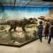 новость 13-06-2019 Музей динозавров открылся в индийском Гуджарате