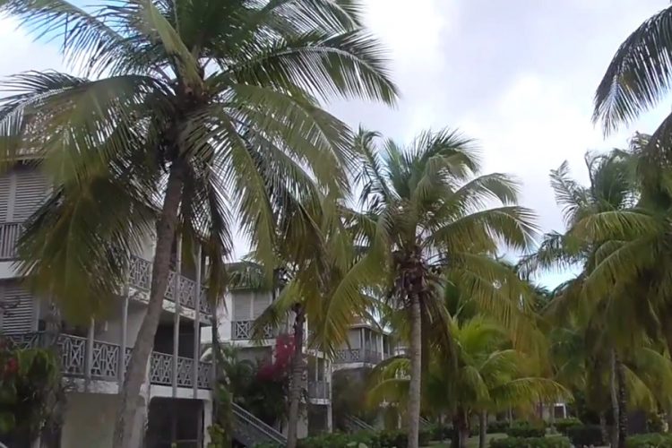 новость 09-06-2019 Карибский регион в этом году ожидает туристического бума