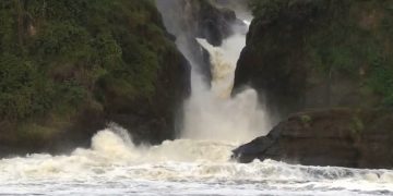 новость 11-06-2019 Строительство плотины у водопада Мерчисон шокировало Уганду