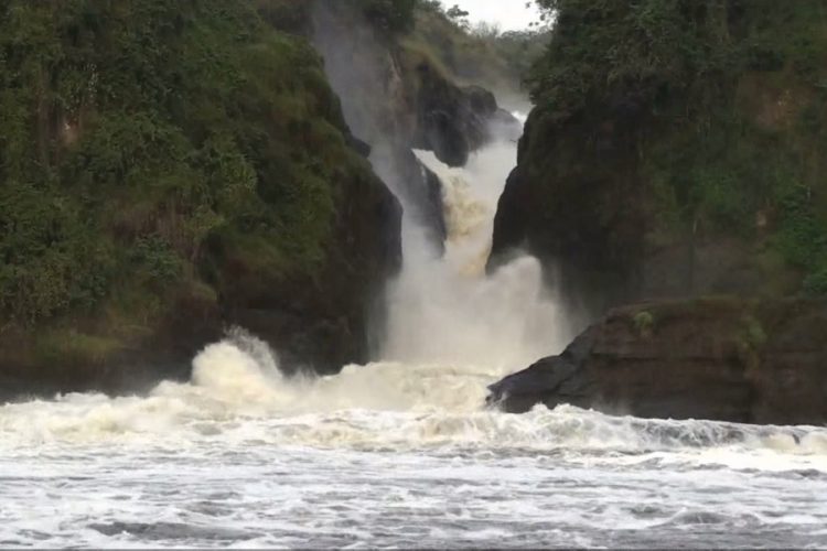 новость 11-06-2019 Строительство плотины у водопада Мерчисон шокировало Уганду