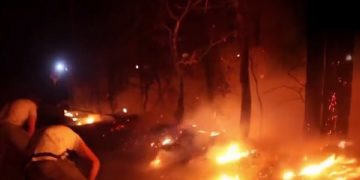 новость 27-06-2019 Сильная жара стала причиной возгорания лесов в Испании