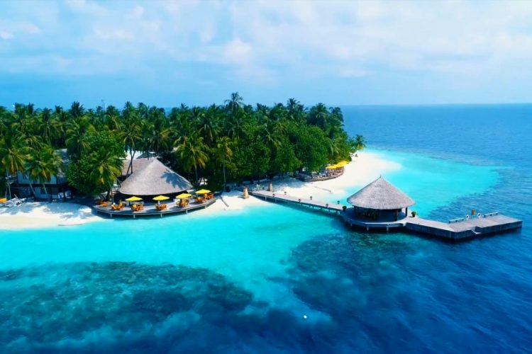 Бесплатный тур на Мальдивы предлагают волонтерам