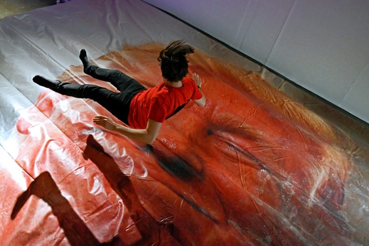 На фестивале в Северной Ирландии предлагают пройтись по лицу Трампа