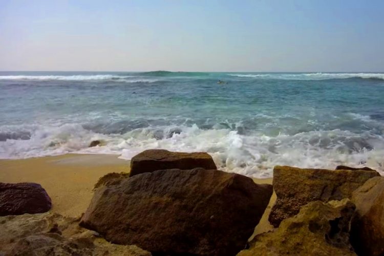 Туры на Шри-Ланку продают с огромными скидками