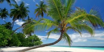 Sex Island снова приглашает туристов на безлимитный секс и марихуану