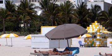 Красные приливы во Флориде стали серьезной проблемой