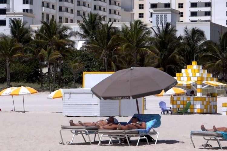 Красные приливы во Флориде стали серьезной проблемой