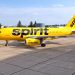 Авиакомпания Spirit Airlines внесла пассажира в пожизненный черный список