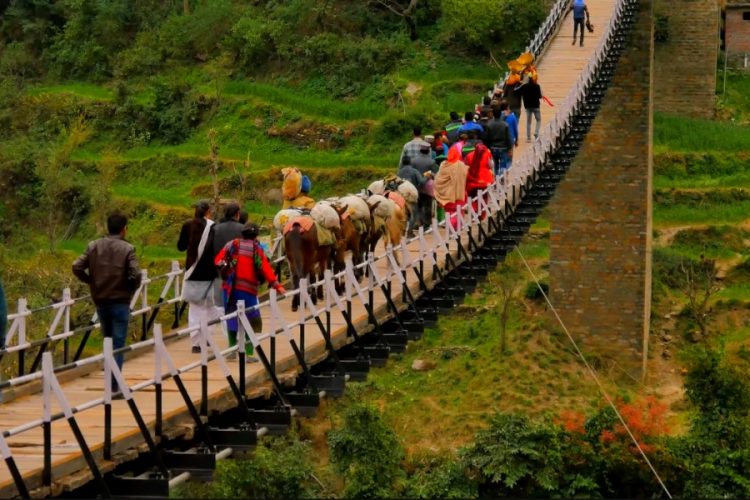 Владельца отеля в Индии обвиняют в смерти 7 человек