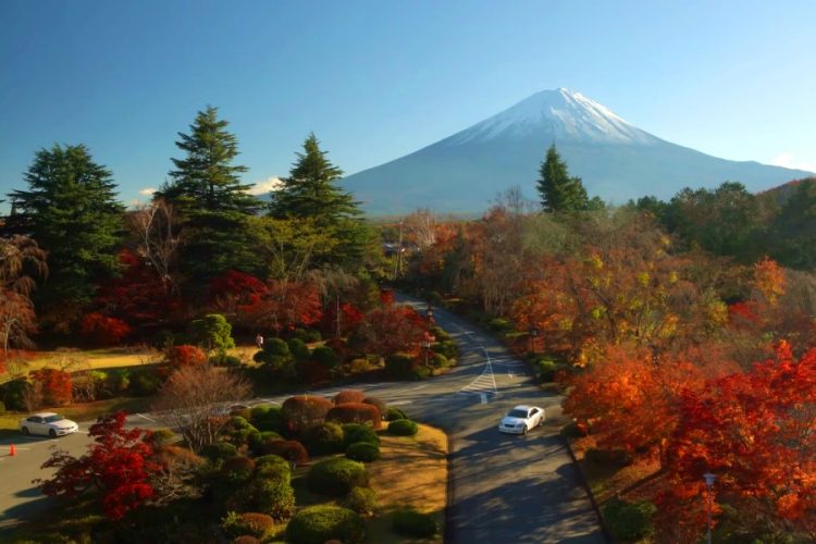 Туристам рекомендуют не публиковать фото из отдыха в соцсетях
