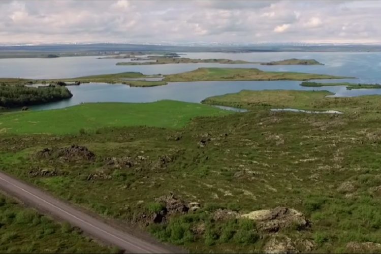 новость 06-07-2019 Кусающаяся мошка появилась в некоторых регионах Исландии