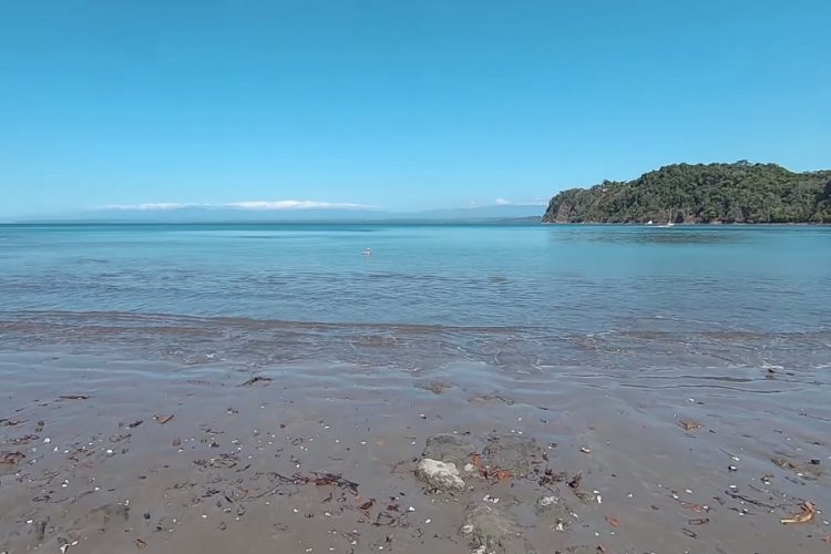 новость 20-07-2019 Коста-Рика запрещает ввоз и продажу полистирола