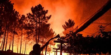 новость 21-07-2019 В центральной Португалии бушуют лесные пожары