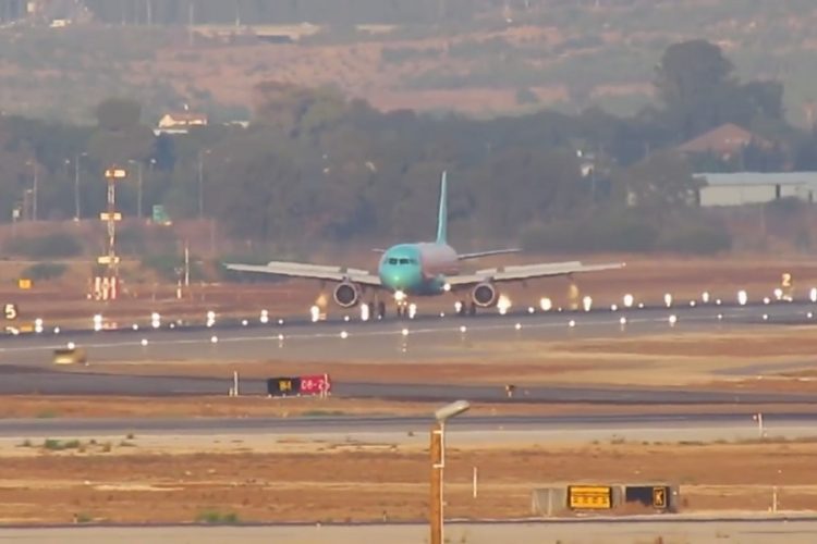 новость 25-07-2019 В аэропорту Бен-Гурион по взлетно-посадочной полосе гулял мул