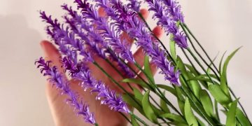 Лавандовые поля в Банстеде - новые правила посещения