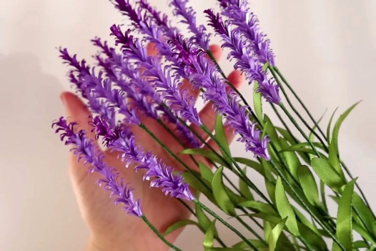 Лавандовые поля в Банстеде - новые правила посещения