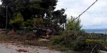 Что происходит в Греции после урагана?