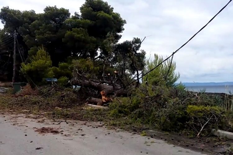 Что происходит в Греции после урагана?