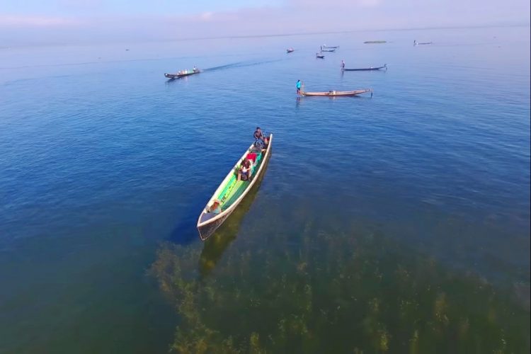 В ближайшем будущем озеро Инле (Мьянма) может исчезнуть