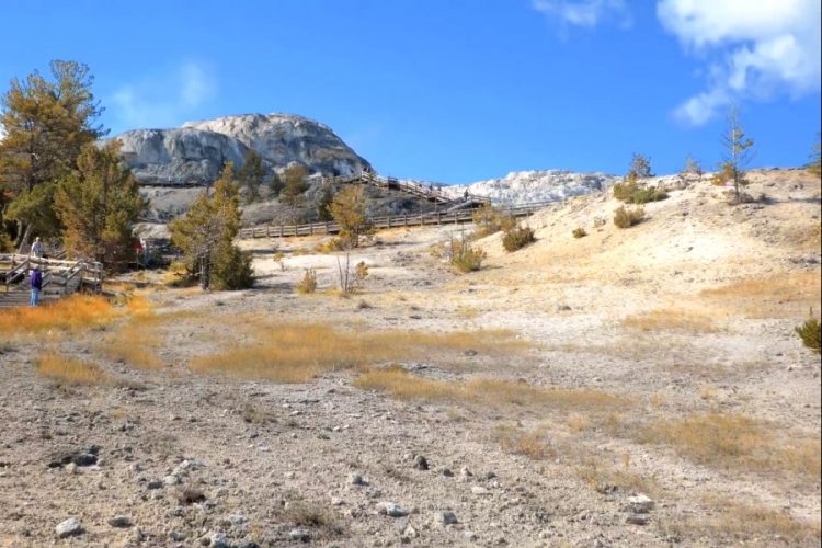 В парке Йеллоустон бизон напал на группу туристов