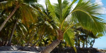 Только 2% туристов собирается в Доминикану, несмотря ни на что