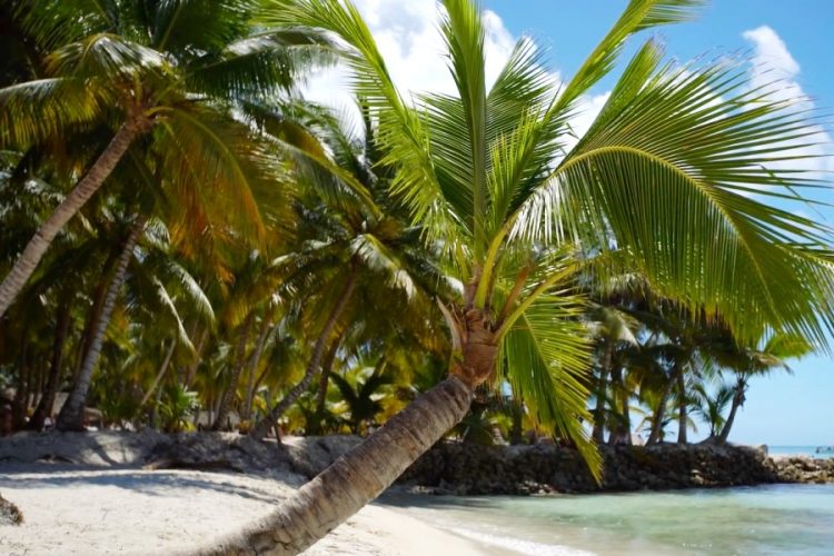 Только 2% туристов собирается в Доминикану, несмотря ни на что