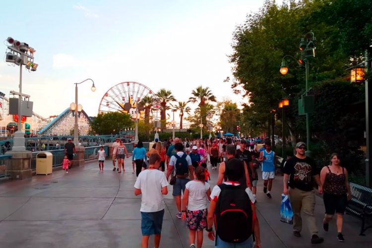 Уолт Дисней запускает авиакомпанию с персонажами на борту