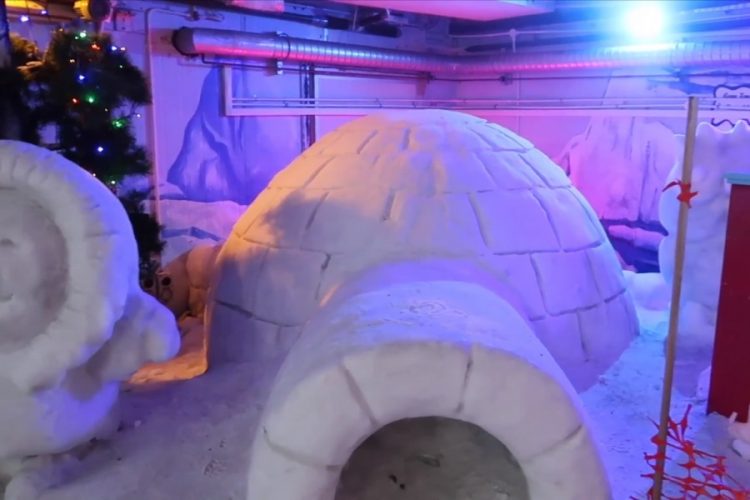 Первый парк Snow City открыли в Египте