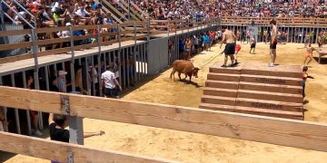 На фестивале в Испании бык проколол шею туристу