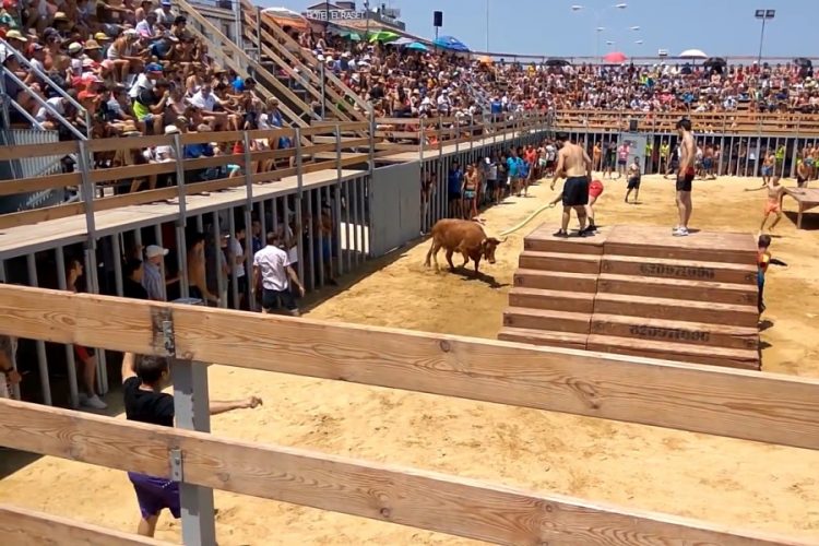 На фестивале в Испании бык проколол шею туристу