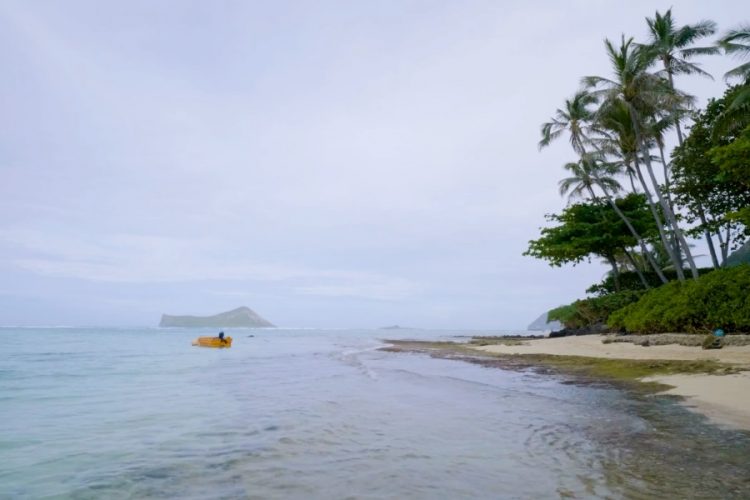 Аэропорты на острове Гавайи находятся в плачевном состоянии