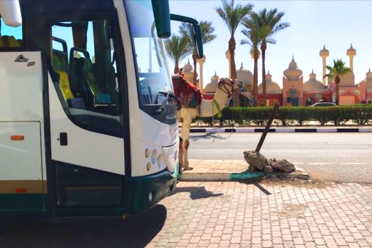 В отелях Египта появятся специальные чипы с информацией о персонале