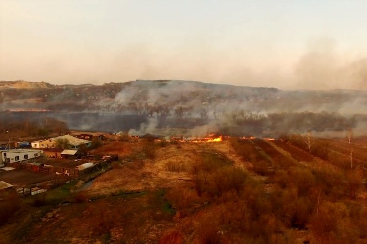 Лесные пожары в Европе происходят все чаще