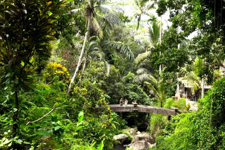 Попрошаек на острове Бали передадут в посольство