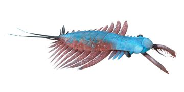 Выставка Оксфордского университета возвращает на 600 млн. лет назад