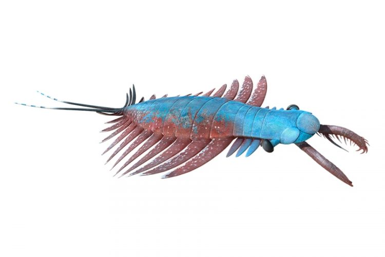 Выставка Оксфордского университета возвращает на 600 млн. лет назад