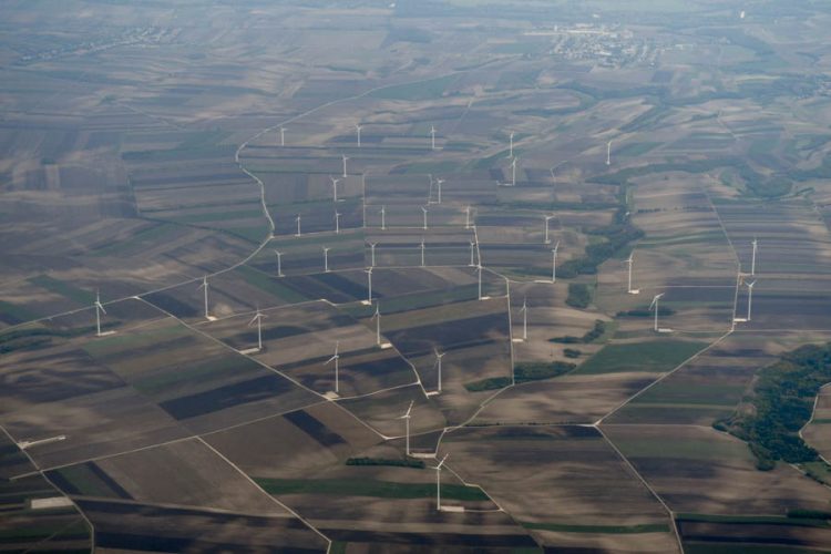 Пьяная стюардесса стала героем социальных сетей