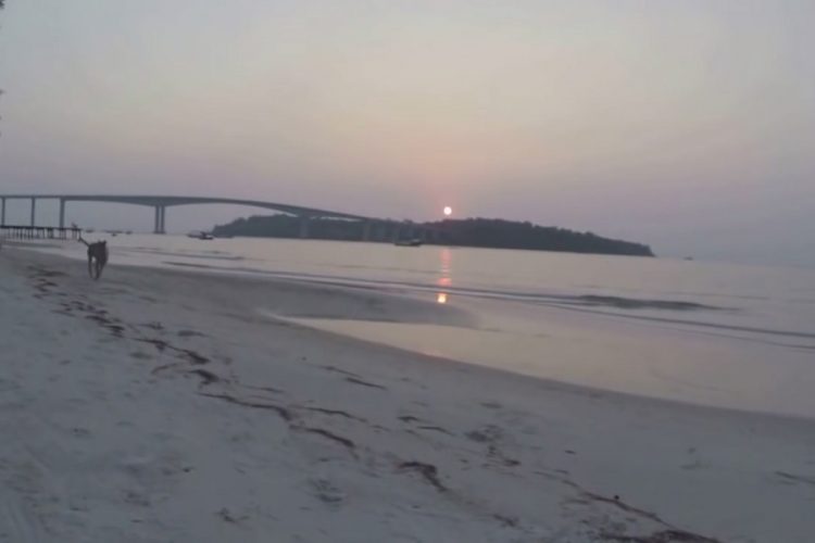 новость 09-08-2019 Свыше 3 миллионов туристов посетило Камбоджу за январь-июнь