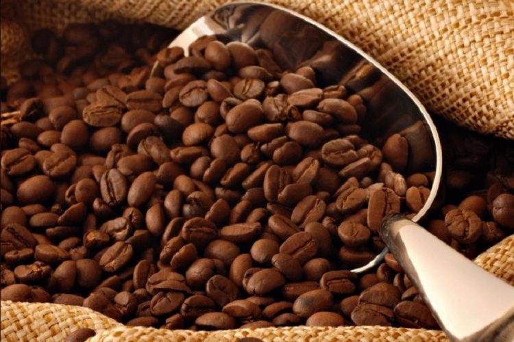 новость 26-08-2019 Несколько деревень Воногири будут развивать кофейный туризм