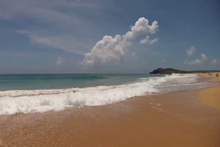 новость 01-08-2019 Новые туристические программы Тайваня для индонезийцев