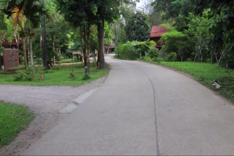 новость 07-08-2019 Пять национальных парков открылось в Таиланде за три года