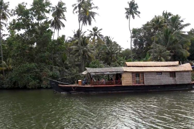 В столице штата Керала появится виртуальный лес