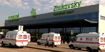 Как аэропорт Жуковский собирается отпугивать птиц?