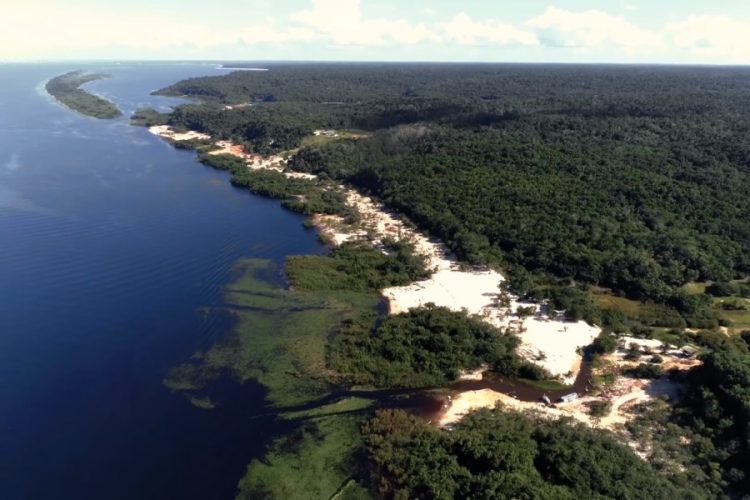 Тропические леса Амазонки горят уже больше 2 недель