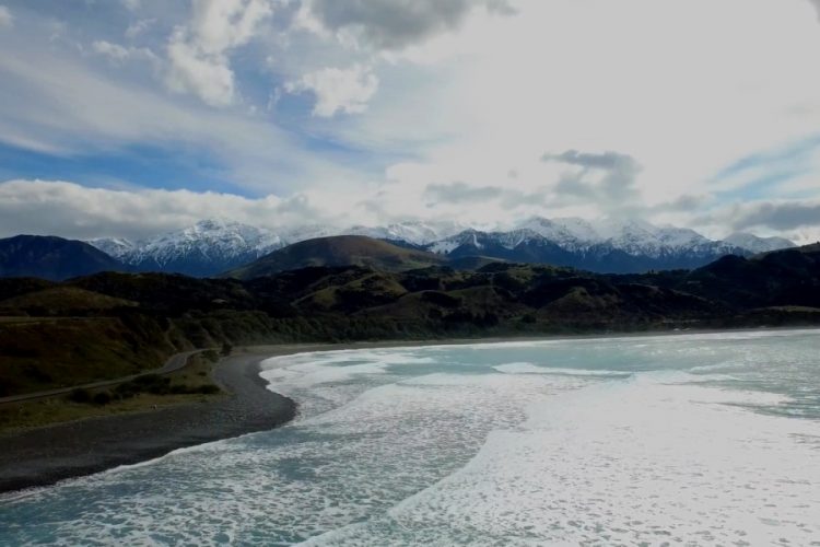 В Новой Зеландии обнаружили останки гигантского попугая