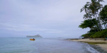Гавайские острова развивают кампании по защите кораллов