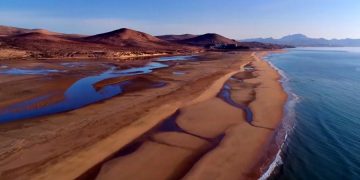 На Канарских островах от пожара пострадал природный парк