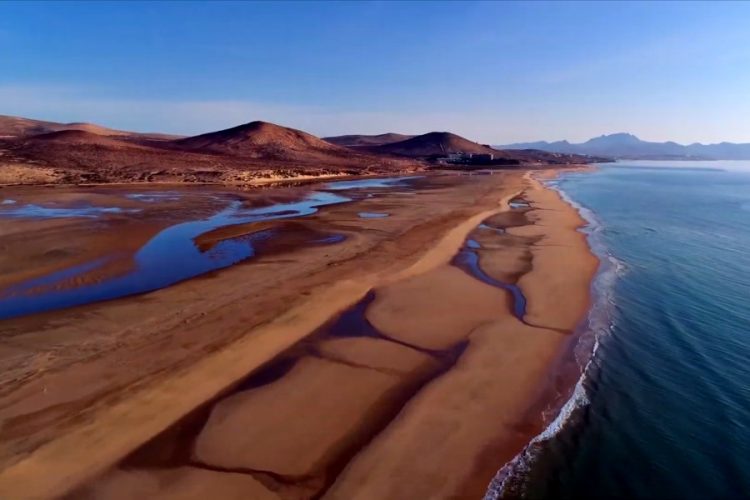 На Канарских островах от пожара пострадал природный парк