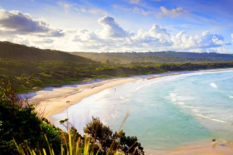 Специальные дроны предупреждают туристов о крокодилах и акулах на австралийских пляж