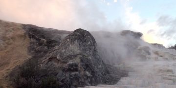 В парке Йеллоустон турист решил погладить бизона, вопреки предупреждениям